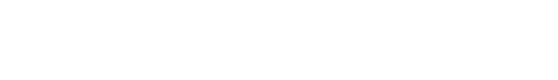 SavageTech